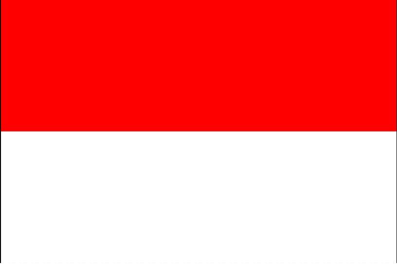 INDONESIA VISIT VISA